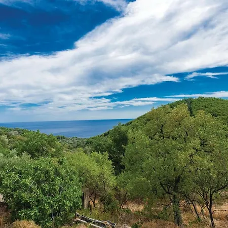 Four Bedroom Holiday In Babino Polje